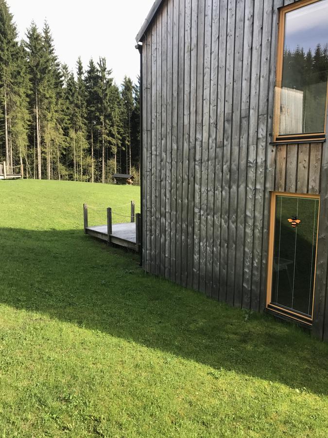 Chalet Chalet6harrachov Se Saunou